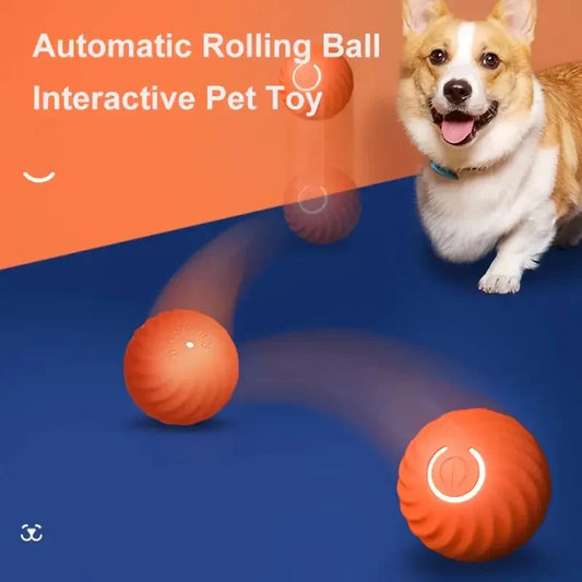 Dog Smart Rolling Ball